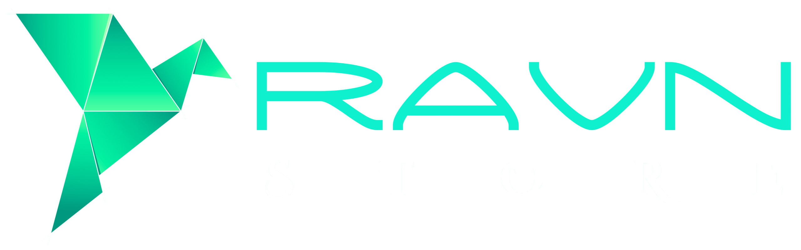 ravn-store-logo