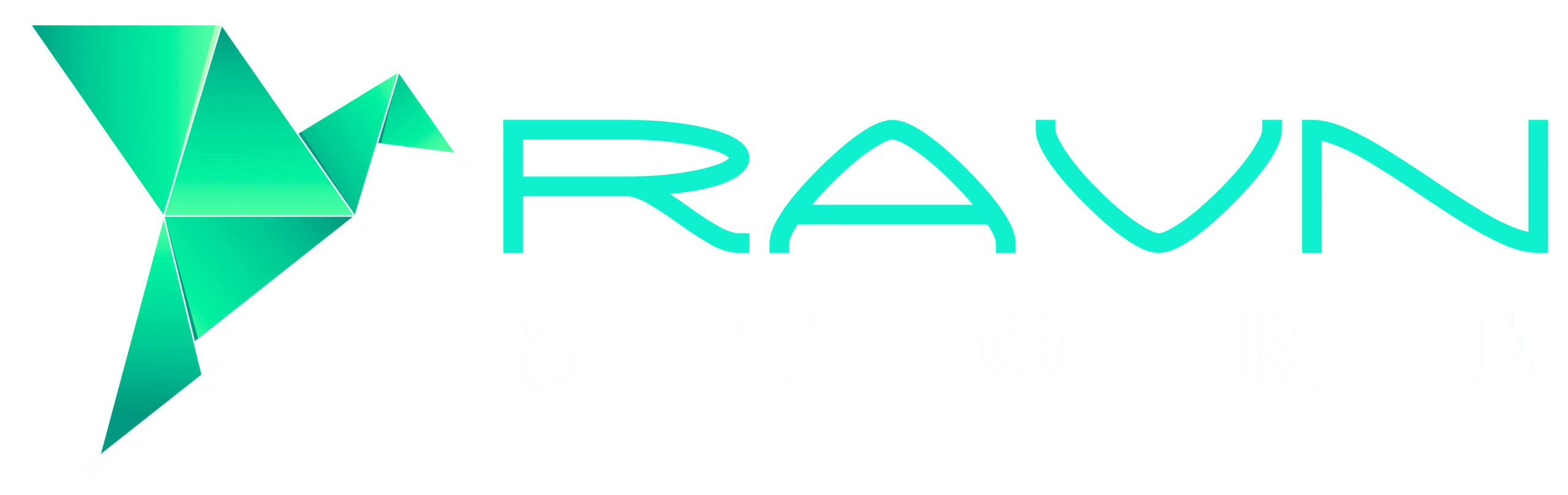 Ravn Store - Logo